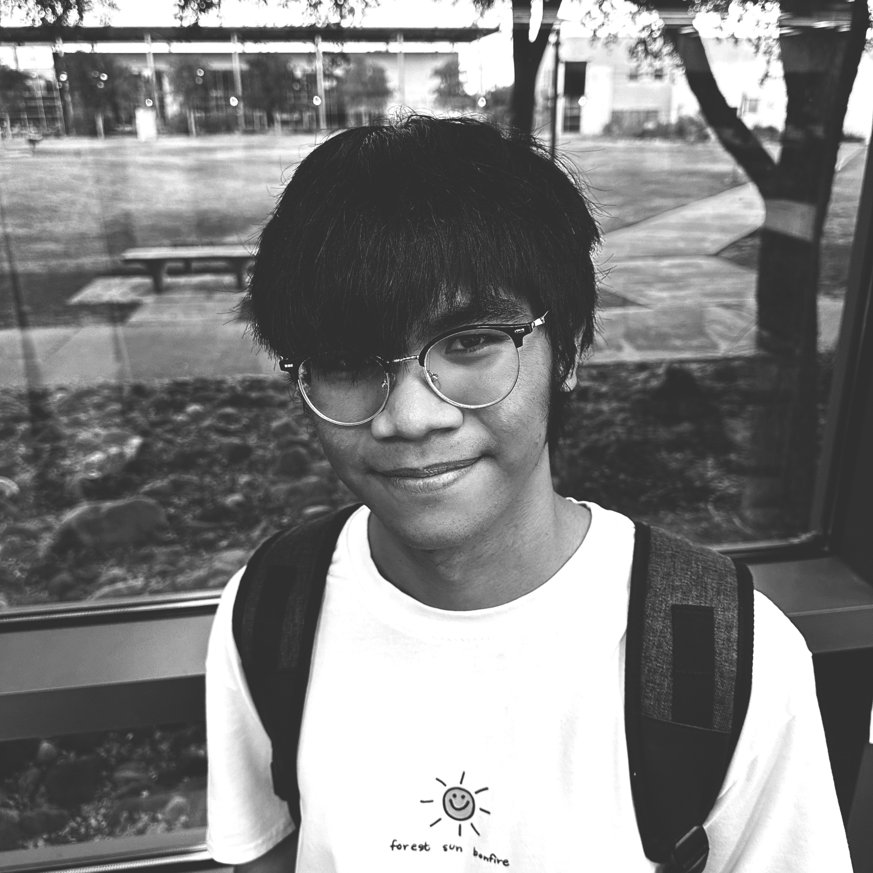 Mark Joshua Sto Domingo